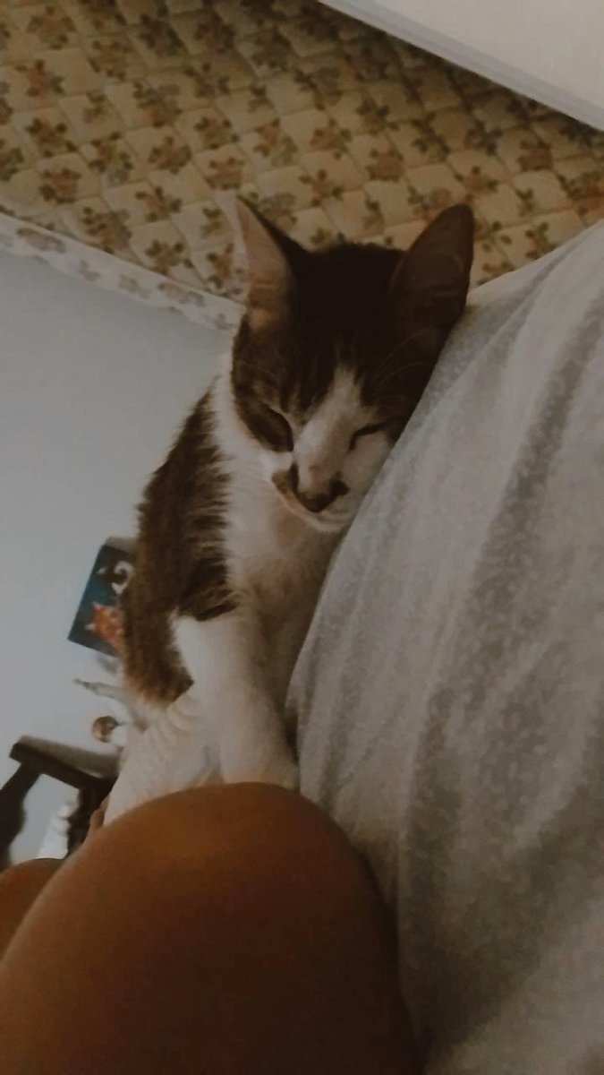 Day (@dayanaabello2) on Twitter photo 