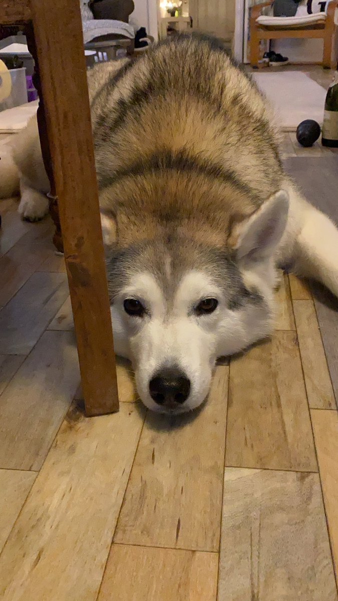 Anne-Marie tweet media