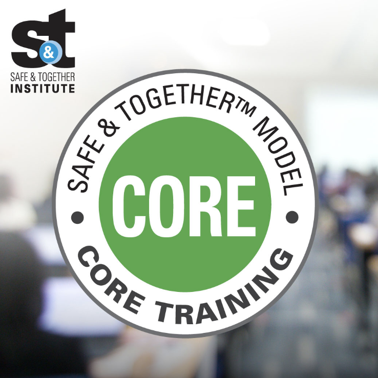 SafeandTogether's tweet photo. Many families impacted by domestic violence perpetrators’ behaviors have multiple, complex, intersecting issues. Take our CORE Training today to learn more. #domesticviolence #dvinformed Register now! https://t.co/vBT555rScx https://t.co/1M6yXlNpen