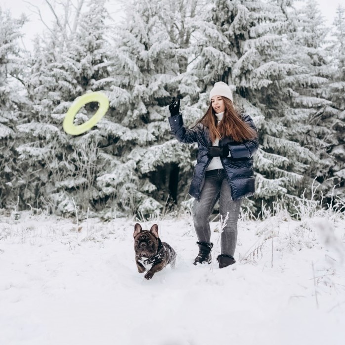 SooCuteNews's tweet photo. Does your pup love the snow? 🐶 

#puppers #doggos #furbabies #snow #snowpup https://t.co/nhfZjIFk8Z