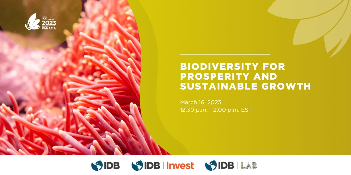the_IDB's tweet image. Six of the most biodiverse countries in the world are part of #LatinAmerica and the #Caribbean. Join our seminar on March 16 to find out how #Nature can boost our economies: bit.ly/3JuhotA #IDBAnnualMeeting