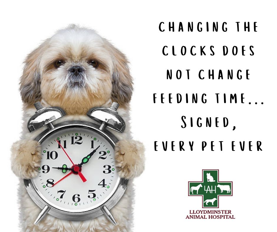 Don't forget to change your clocks tonight!