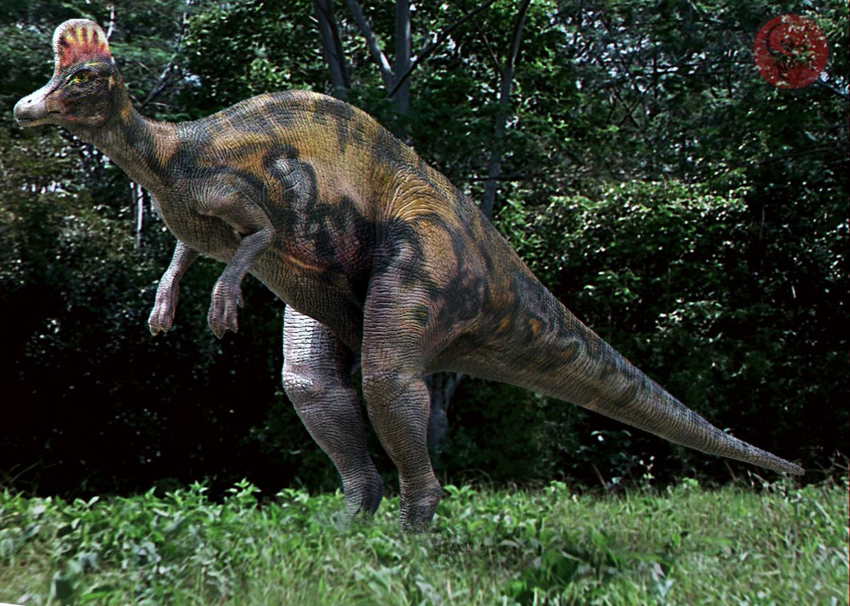 quick test with the corythosaurus model.

#JurassicPark #JurassicPark30thAnniversary #Dinosaurs #jurassicpark3 #Blender3d
