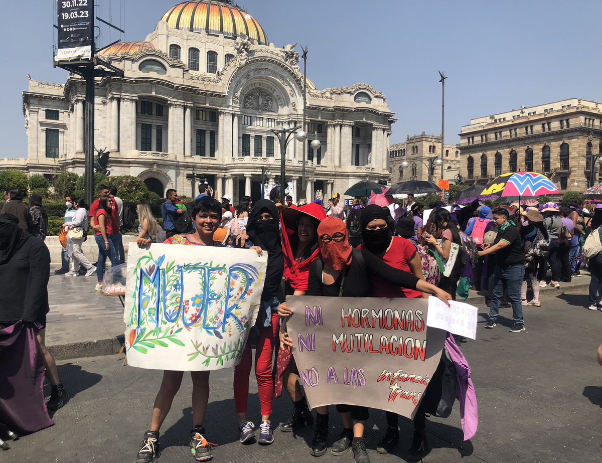 WDI México tweet media