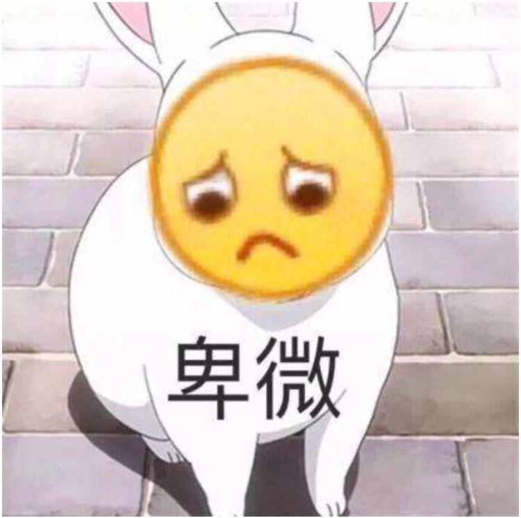 real04481250's tweet photo. 备战考研了好孤独，好想和人聊涩涩的天 https://t.co/Tj0lKcfklQ