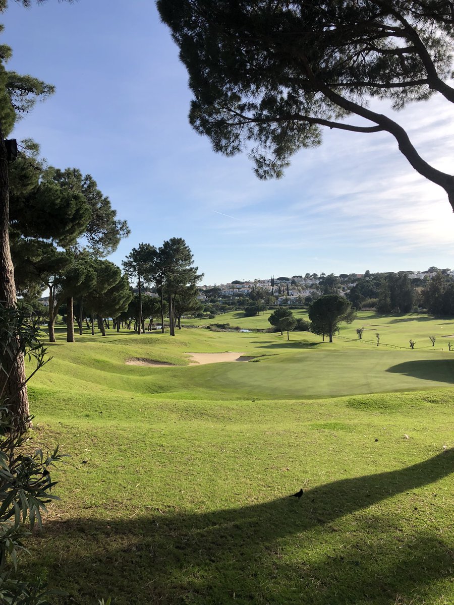 Carpe Diem Cup tweet media