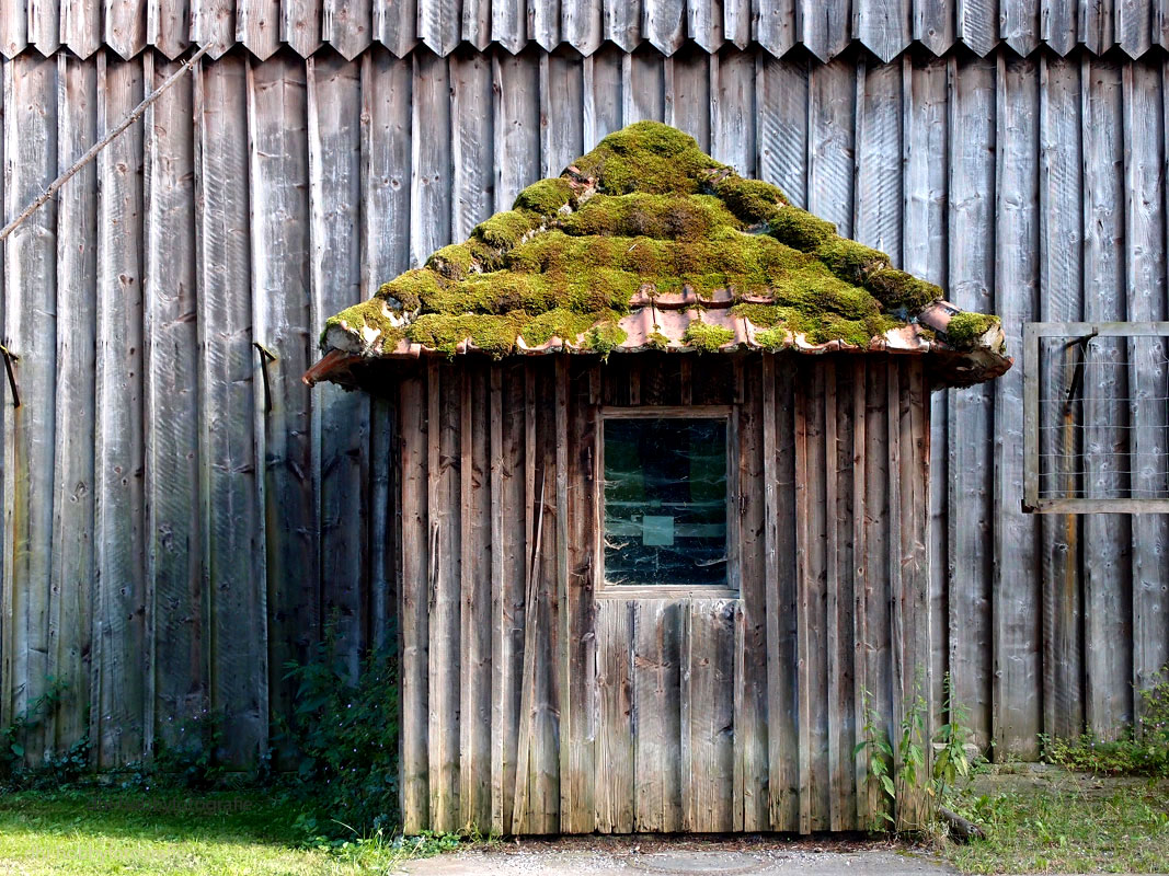 Der Mensch ist dort zuhause wo sein Herz ist, nicht dort, wo sein Körper ist. Mahatma Gandhi