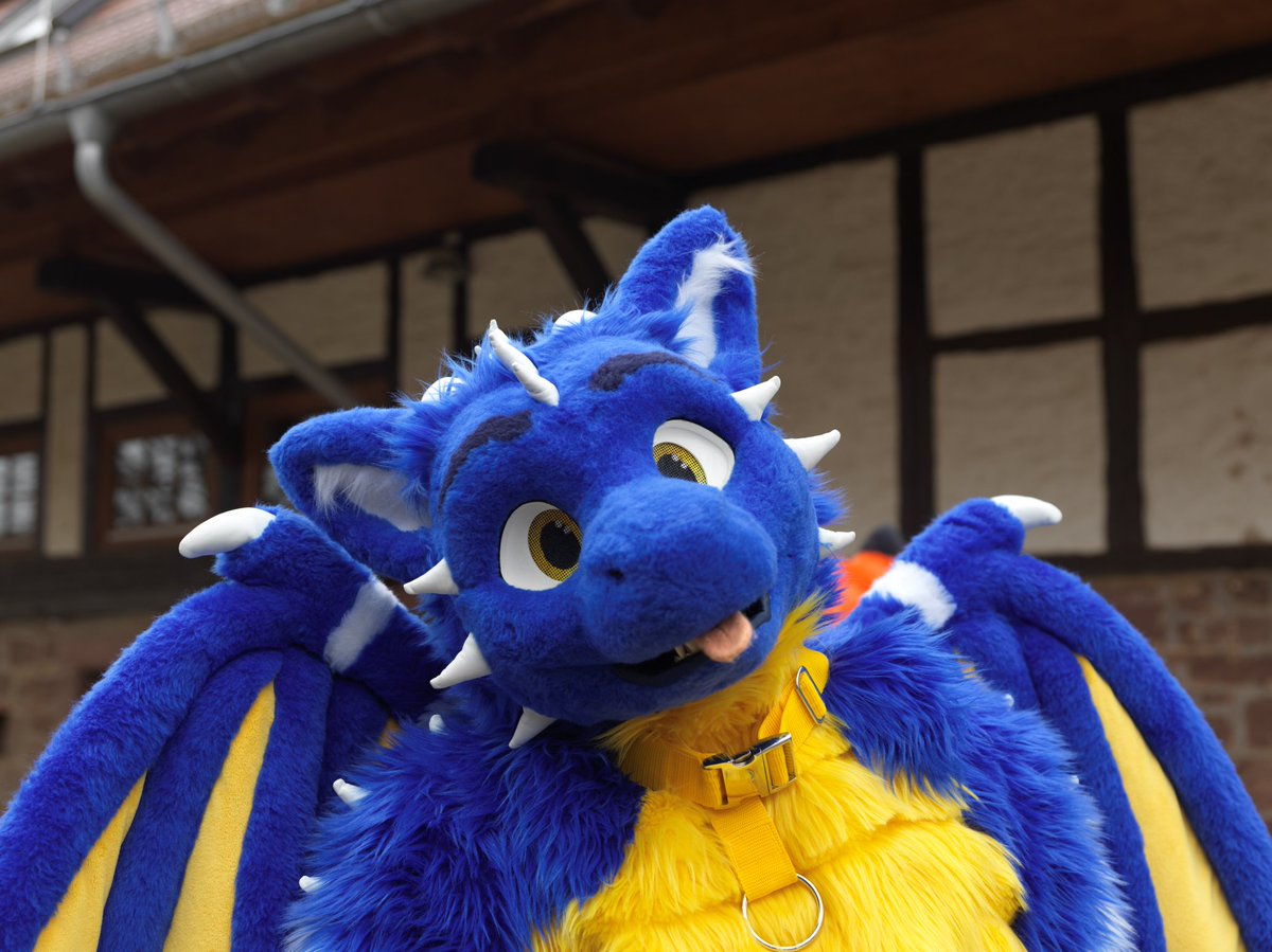 CyberTheDerg's tweet photo. Just a dragon bleb in your timeline :3
Have a great weekend and enjoy the time together with your friends ^^
📸 @HiryuTheDragon
🧵 @whitewingsuits
#fursuit #dragon #furry #FursuitEveryday #bleb https://t.co/dbFsTBn2A9