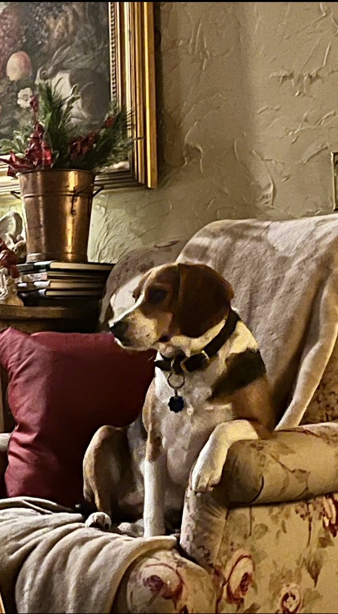 Hello Twitter world!!! My name is Daisy and yes, I can be crazy at times!!!