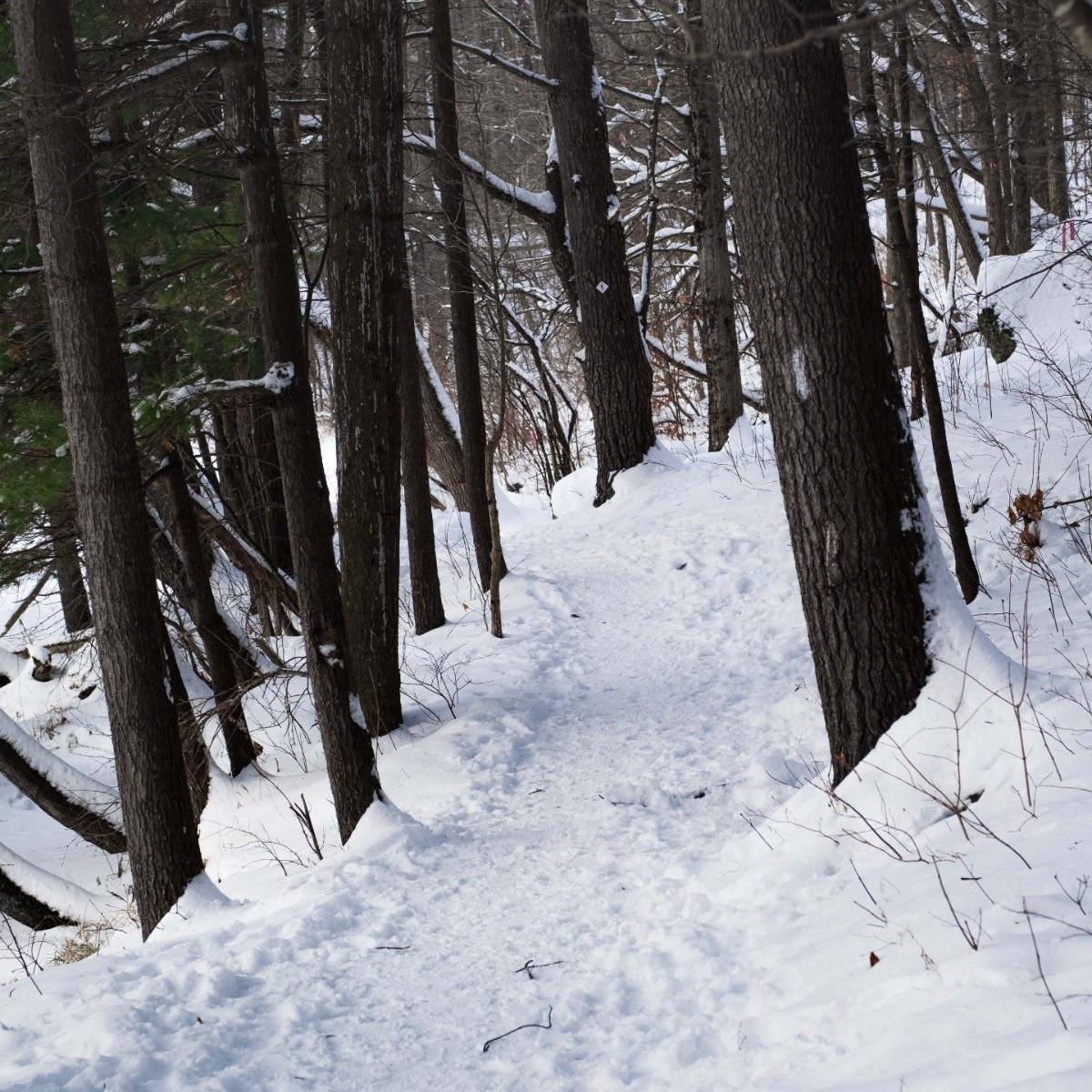 Dunham Shoes tweet media