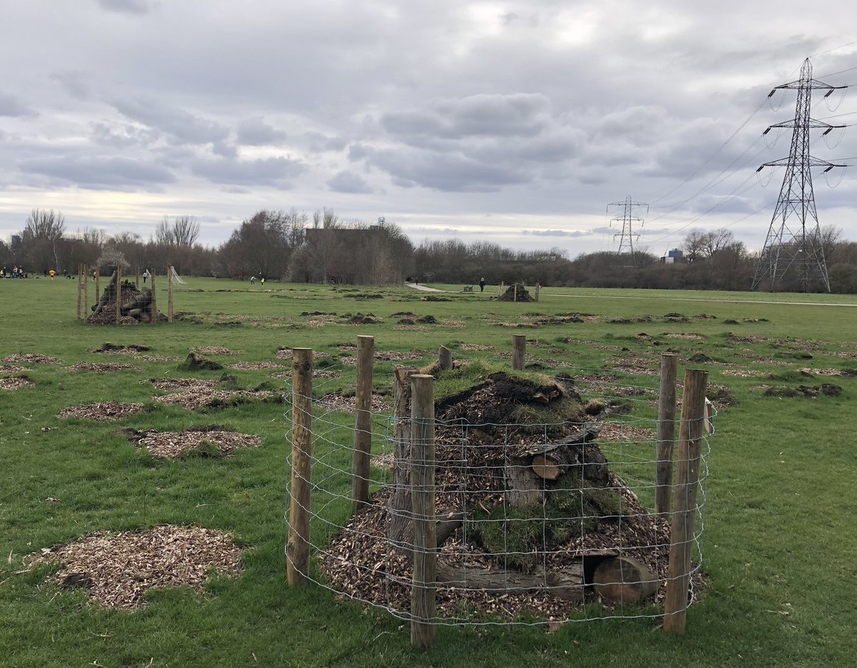 Third protected loggery for #hackneymarshes with new design habitat and forage features.
@OrchardWenlock @IanSnakeGeek @NinaHundt 
Small mammals already finding their way into this SMINC extension.
Still working out whether these are loggeries, mammalries, grubberies or bug%+ries