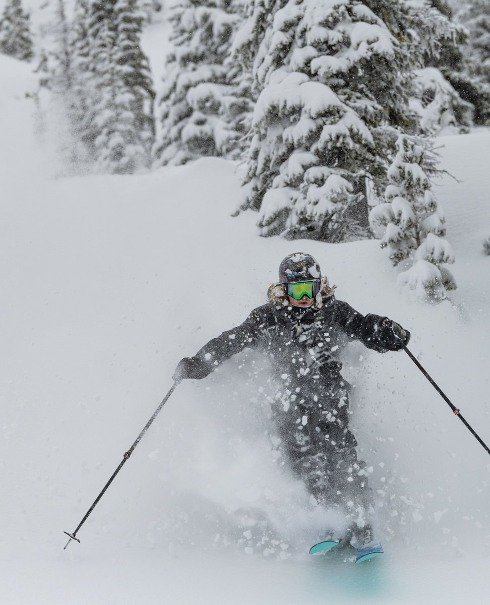 redresort tweet media