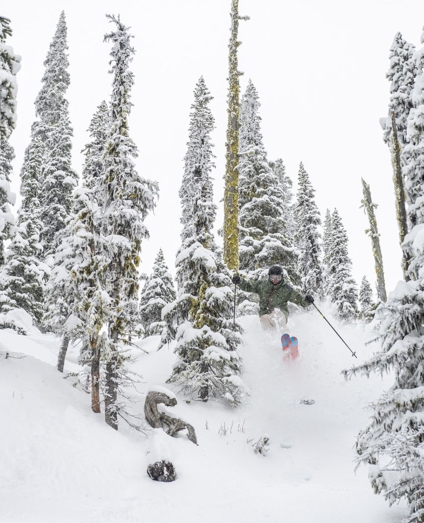 redresort tweet media