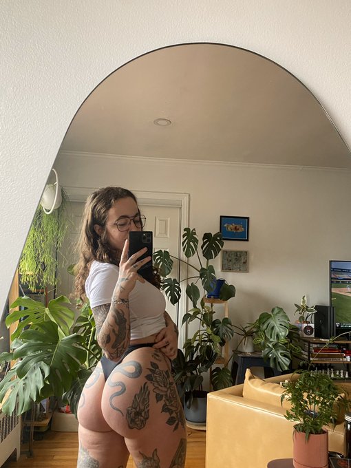 Todd Bonzalez’s pics and videos