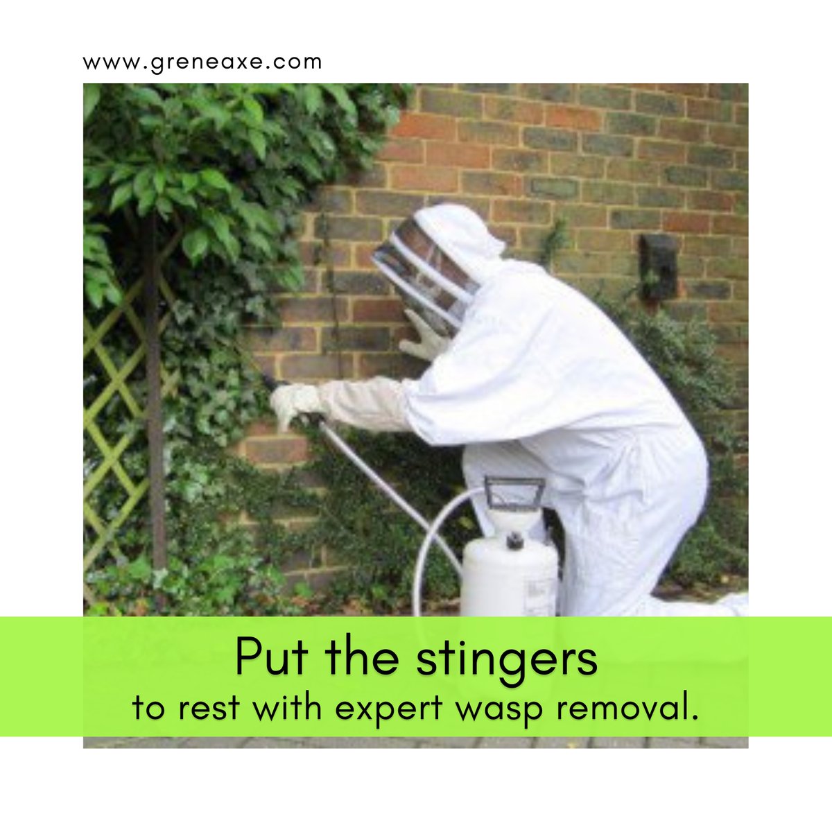 We provide a promise that your home will be taken care of.  
---
🌐 greneaxe.com
.
#greneaxepestcontrol #pestcontrol #pestcontrolservice #pest #termitecontrol