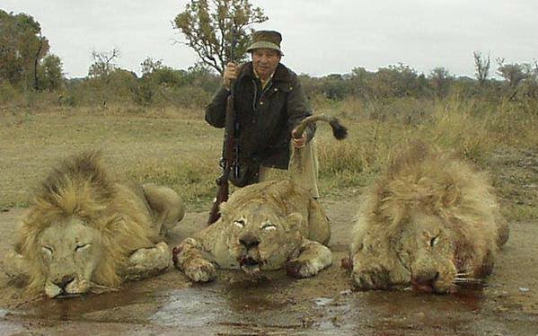 RT if you agree 💚

“Trophy hunting is not hunting, it's KILLING. We must ban this inhumane practice." ~ <a href="/HSIGlobal/">超级Z.Y.N 发明家 V2</a> 

#BanTrophyHunting NOW!!