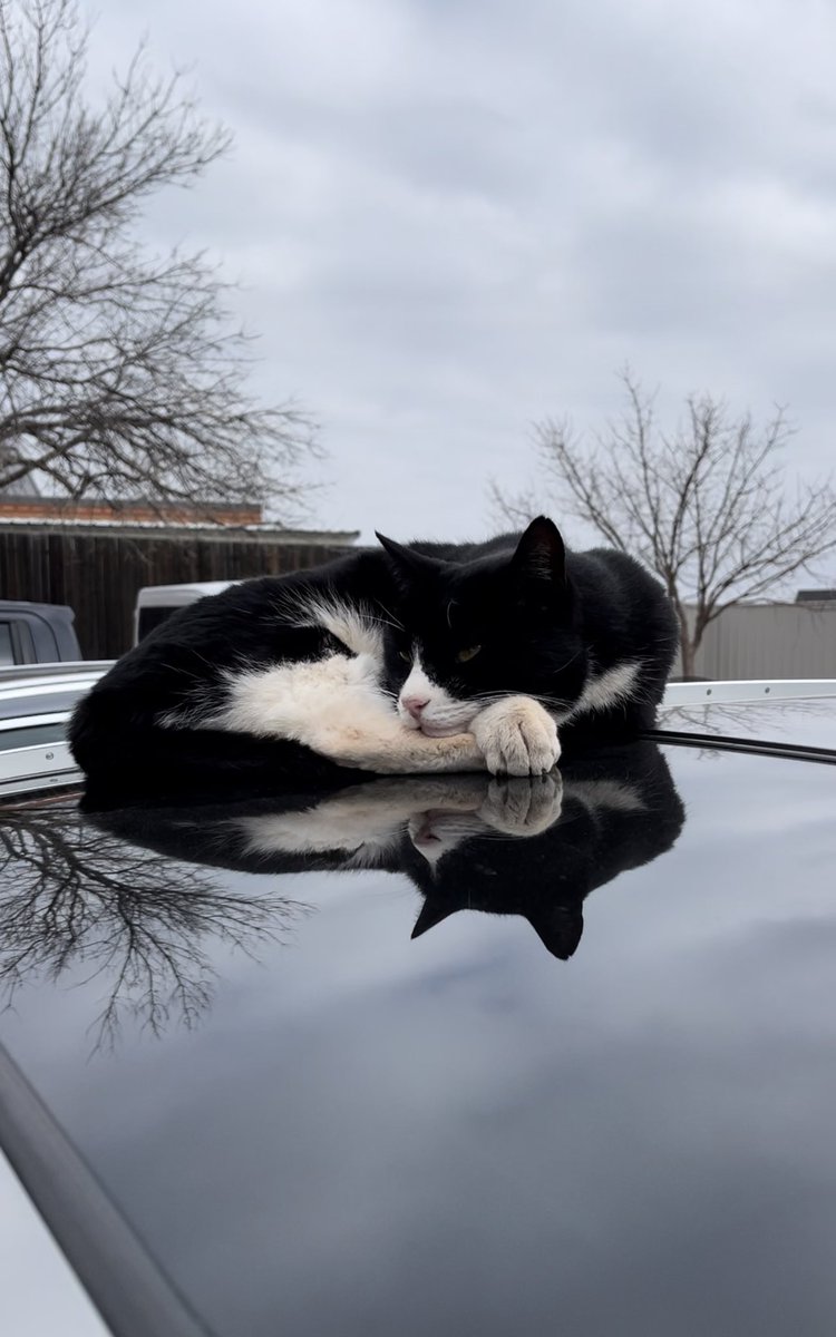 Javier BEERdem tweet media