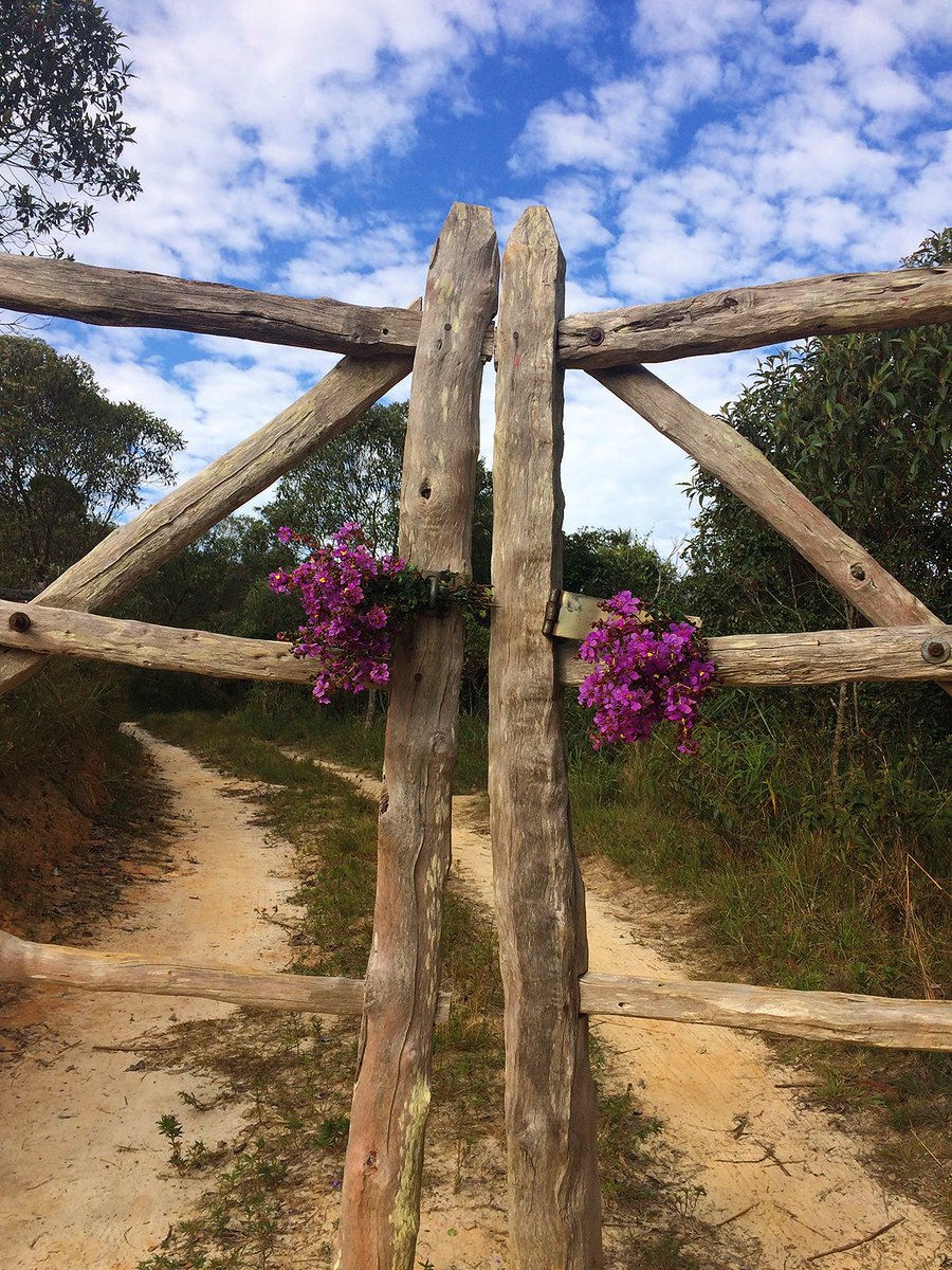 Fernand92542445's tweet photo. Place of Peace๐๐ฟ
#flower #Flowers #flowerphotography
#nature #NatureBeauty
#simplysaturday
#SaturdayVibes
#SaturdayMotivation
#Peace #PeaceAndLove https://t.co/lWRYX4BOBY