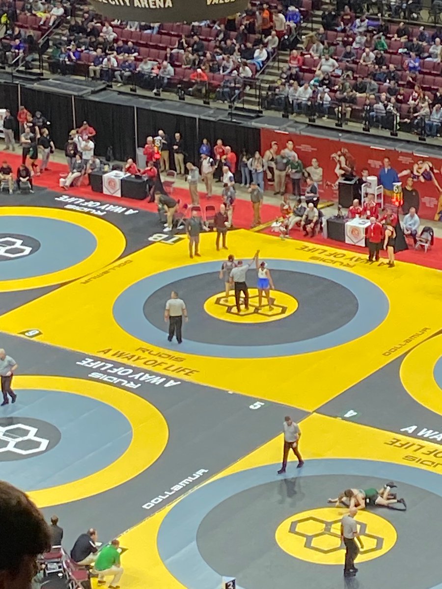 Barb Tardibuono tweet media