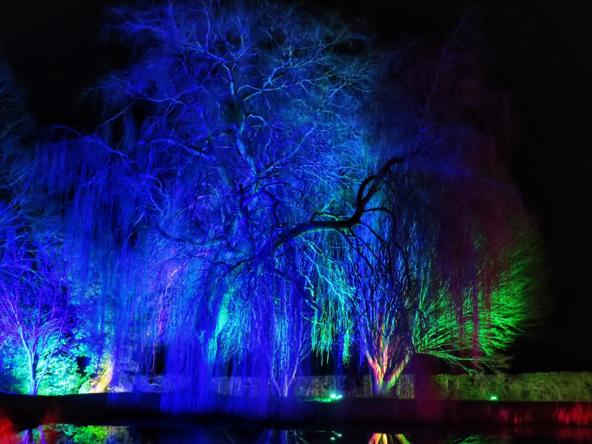 Chrisphotos19's tweet photo. #spectacularspectacular #haughleyparkspectacleoflight #lightupyourlife #suffolkskies #twinklylights #aliceinwonderland #canon #canonphotography #snapseed #photography #photographer #picture #haughleypark #light #lights #trees #walk #beautiful #lightwalk #naturephotography https://t.co/ggwpG3f4ON