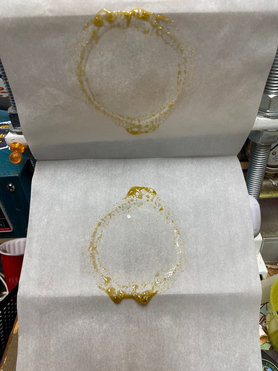 47th_Parallel_'s tweet image. WHAT A JOKE! 😂😂  A good friend of mine (and master rosin squisher) sent me this pic last night of an $80 1/4 that netted him a half g of mediocre rosin. THIS IS WHAT YOU GET WHEN YOU BUY "TOP SHELF" FROM A REC SHOP! 😂 the stuff i throw away trimming literally performs better😂