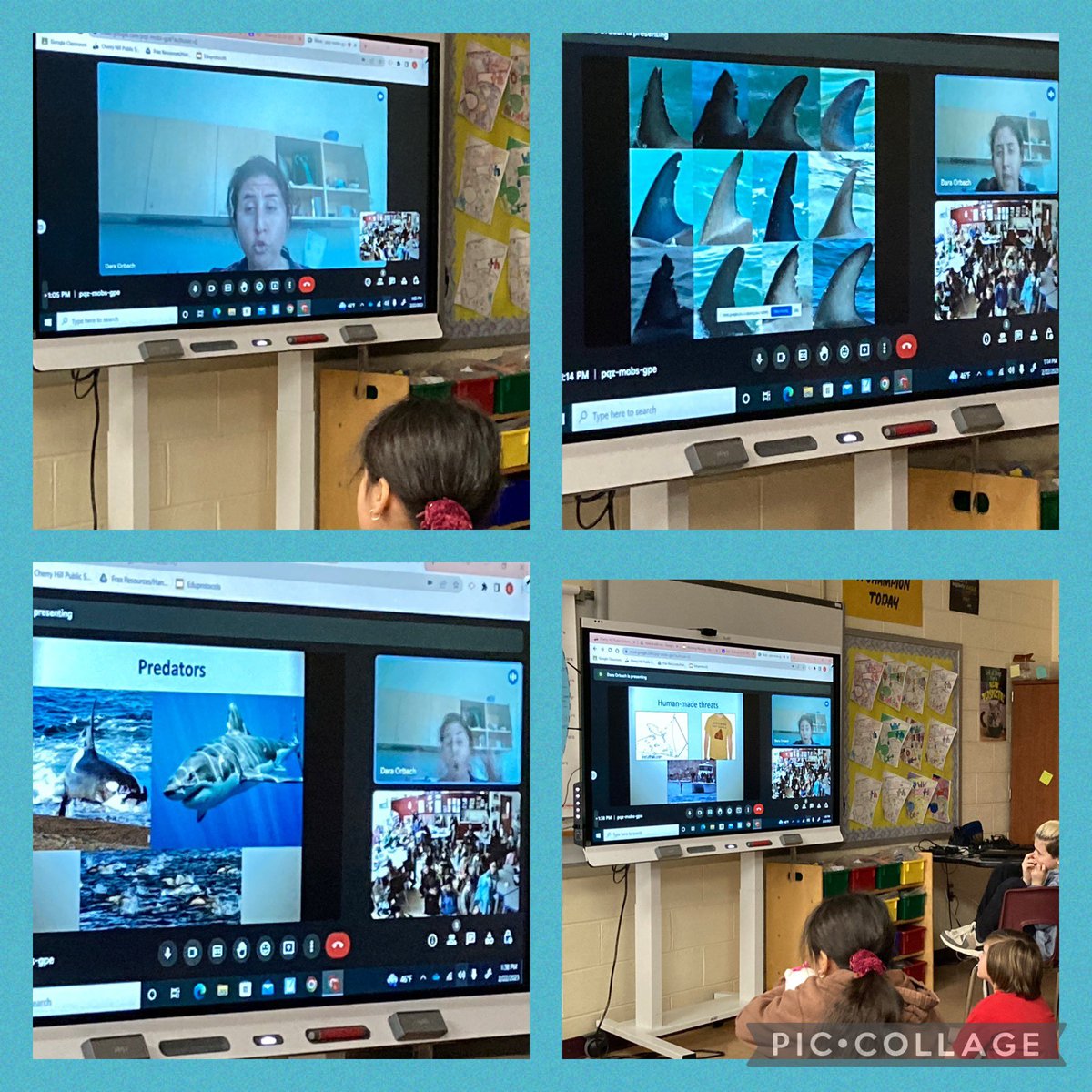 Thank you, Dr. Dara Orbach, for a fantastic presentation on dolphins and whales. We learned so much!!  <a href="/SkypeScientist/">Skype A Scientist</a>