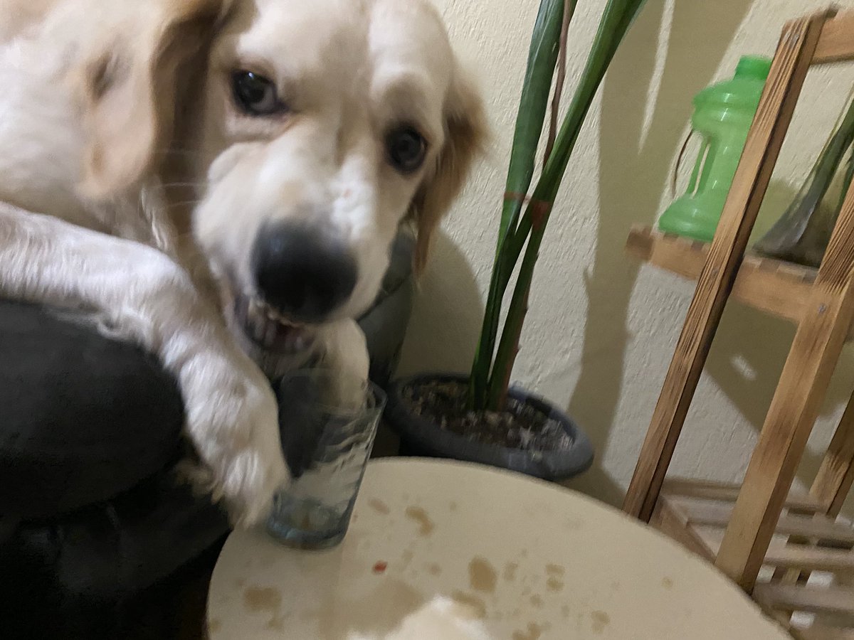 Yemeg üsdüne bus gibi kola iyi giddi