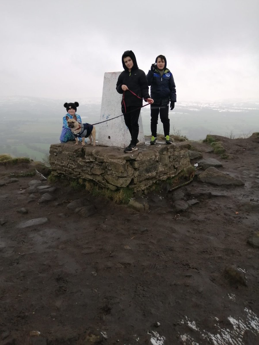 techguy112's tweet image. Oakley have been for his afternoon walk up the Cloud with is foster family #frenchbulldogs #Biddulph