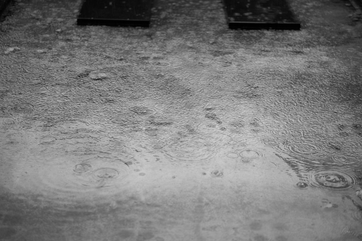 isensno's tweet photo. Why make photos? #30 in this series. I did video https://t.co/Ychg2h3SjU using only raw photos I've never touched. No edits other than B&amp;W vs color. No adjustments, edits or crops. Posting the storyboard. 
#documentaryphotography #bandwphotography #streetphotography https://t.co/YuPMd5rgSp
