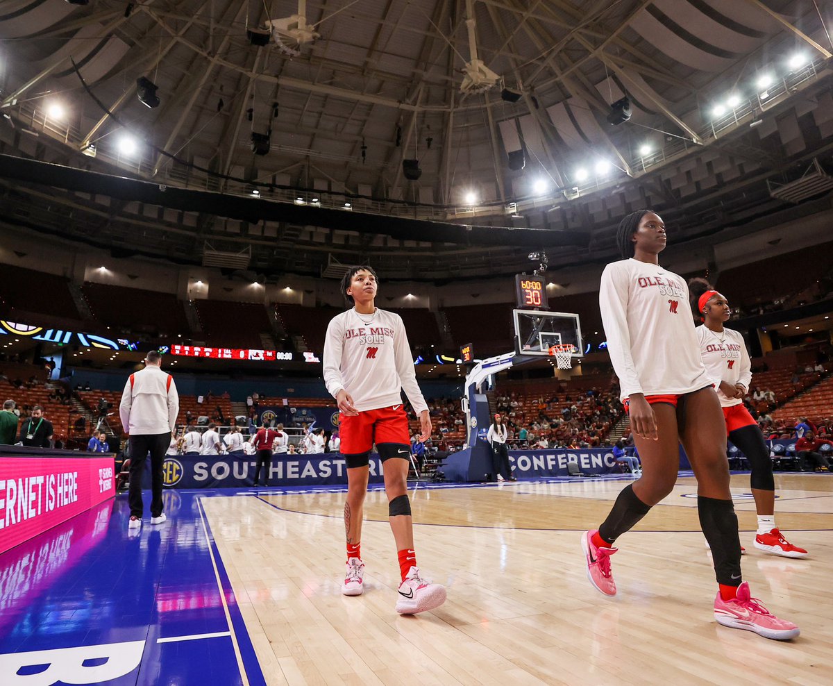 snudda . tweet media