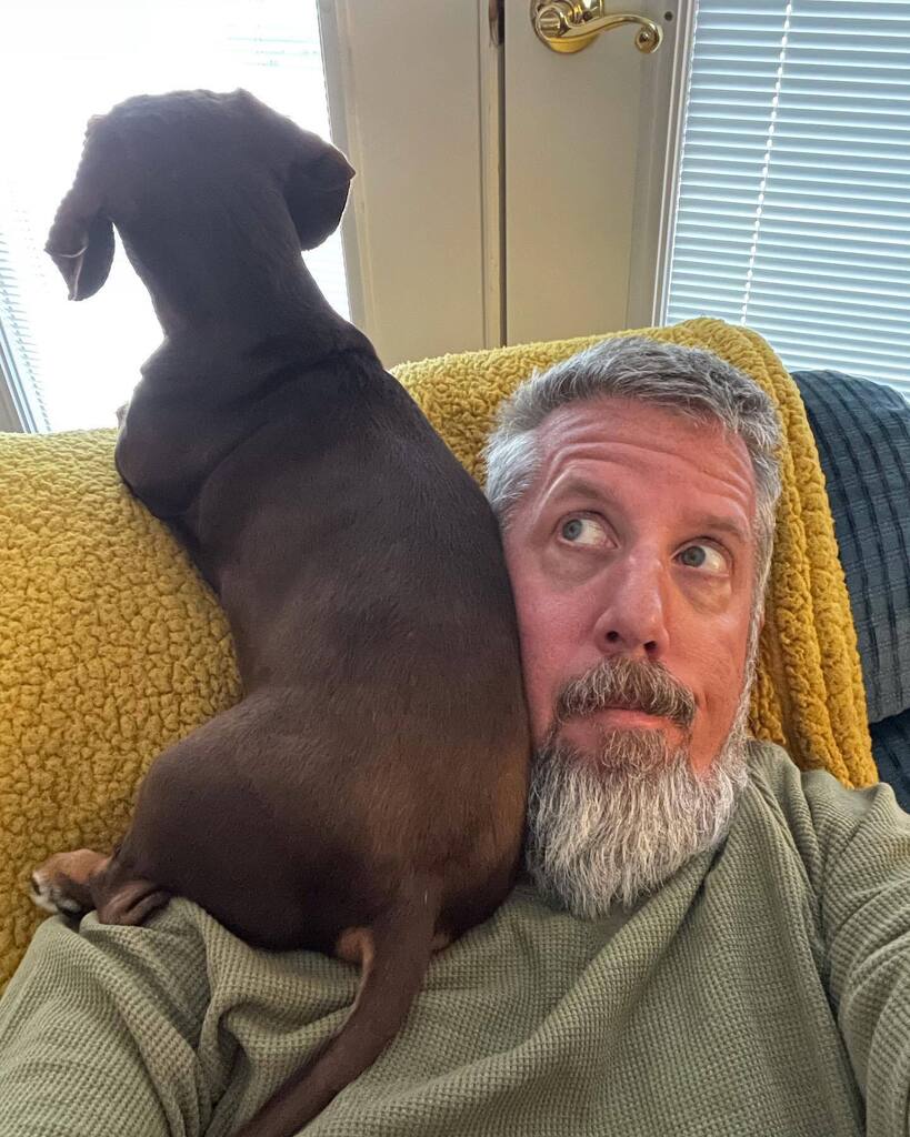 rhuntington3's tweet photo. Shoulder Dog #shoulderdog #chocolateandtandachshund #dachshundsofinstagram #instadachshund #ilovemydachshund #longdogcrew #instadog #ilovemydog https://t.co/nrskzNuCLp https://t.co/Udb0Wm7gw9