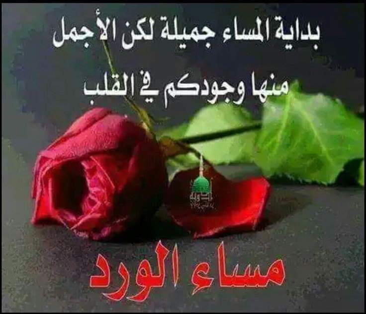 مساء الجمال 🌷🌷
لمن يزهر القلب بوجودهم 🌷

مساء الورد 🌷

#مساء_الخيرᅠ