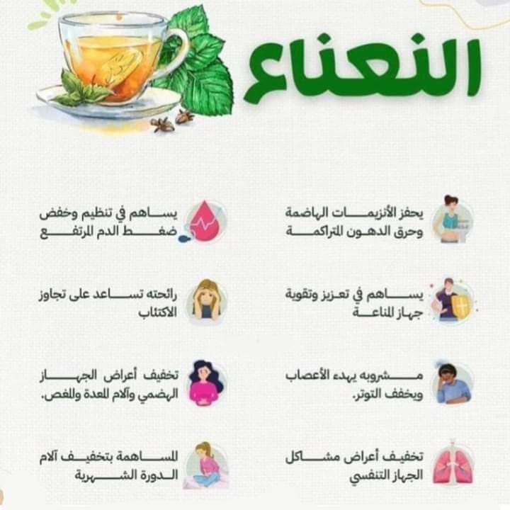 IPS_TEAM2011's tweet image. 