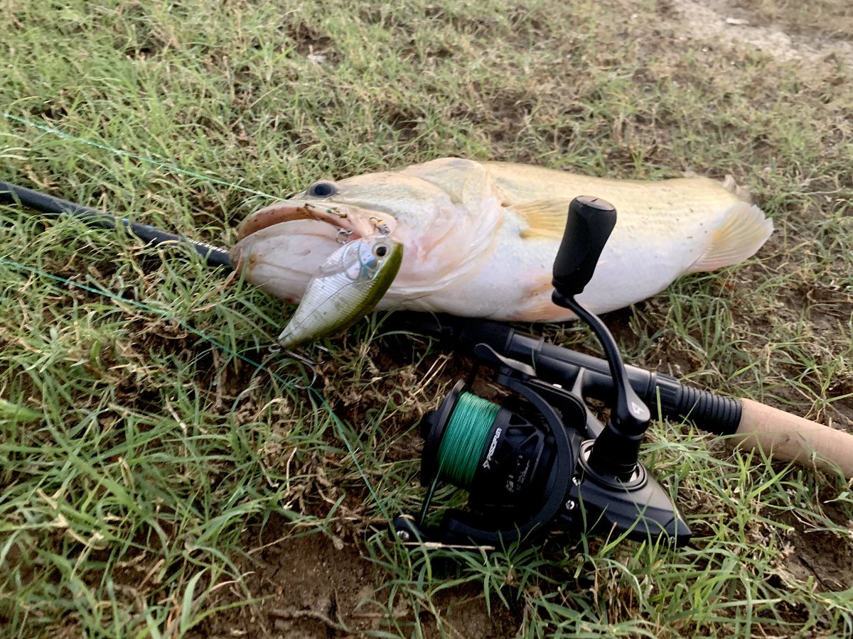 🎣👍🏼

#gonefishing #fishing #fishwithapurpose #texas #bassfishing  #topwater #VeteranAngler #kayakfishing #bankfishing #bass #DKSOutdoors #freshwaterfishing #fish #lake #lakeliving #nautre #anglers #photo #naturephotographer #photooftheday #fishinglifestyle #largemouthbass #usa