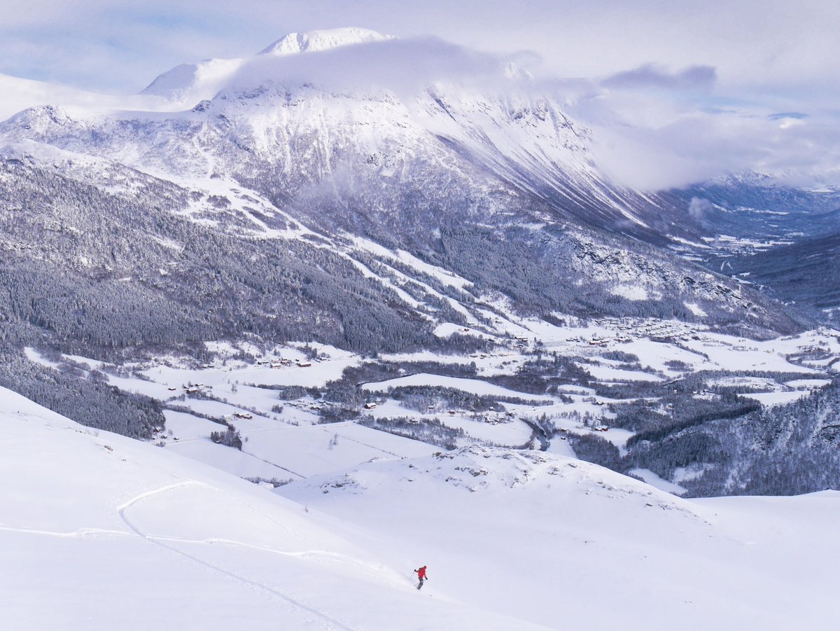 Al Powell tweet media