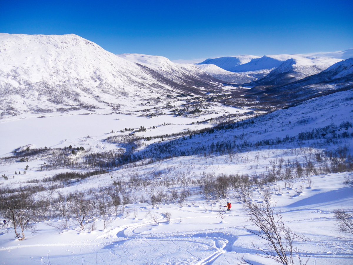 Al Powell tweet media