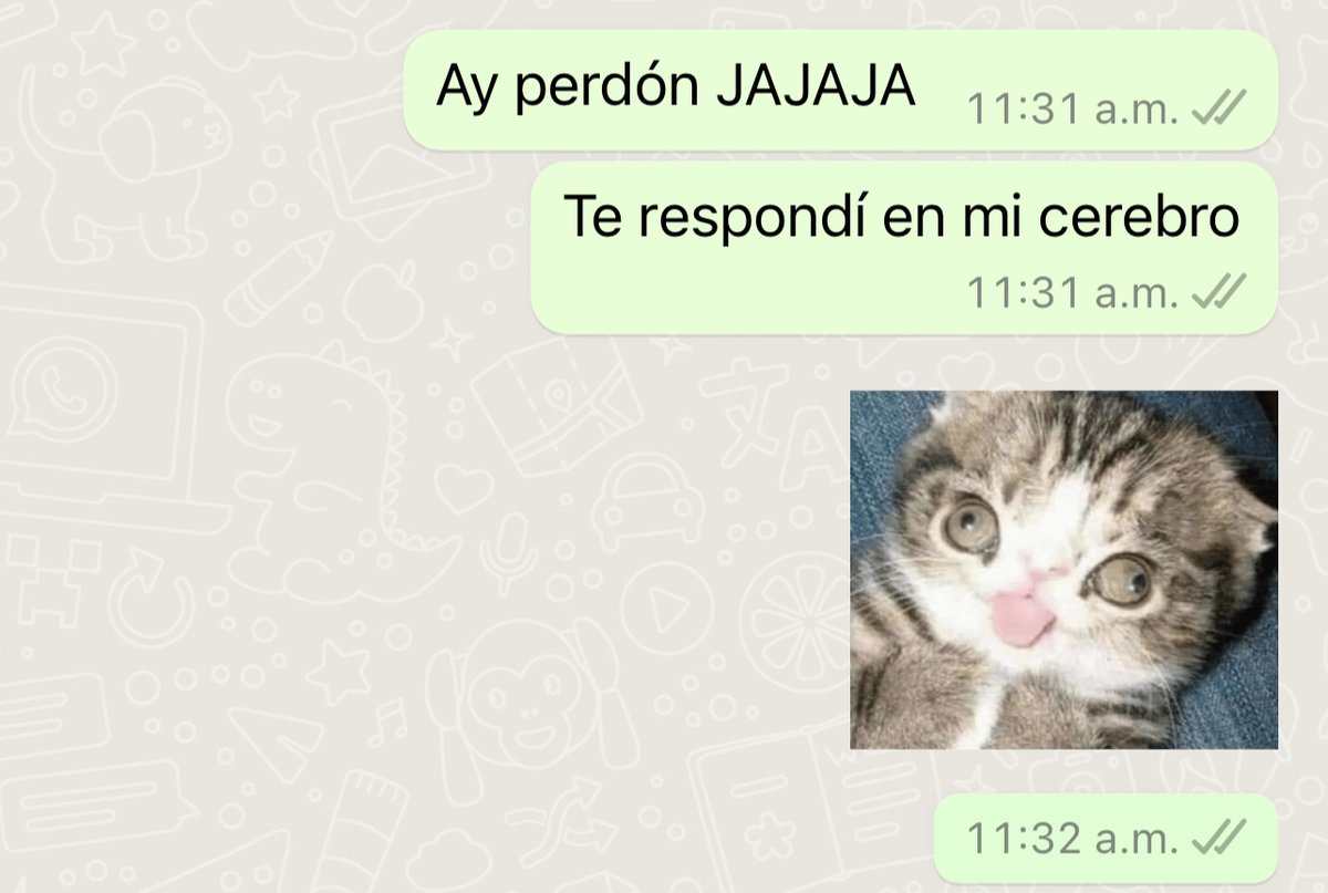 Guarromantico_'s tweet photo. *Alguien me manda un mensaje*

Yo 5 días después: https://t.co/k1yZUX9OG2