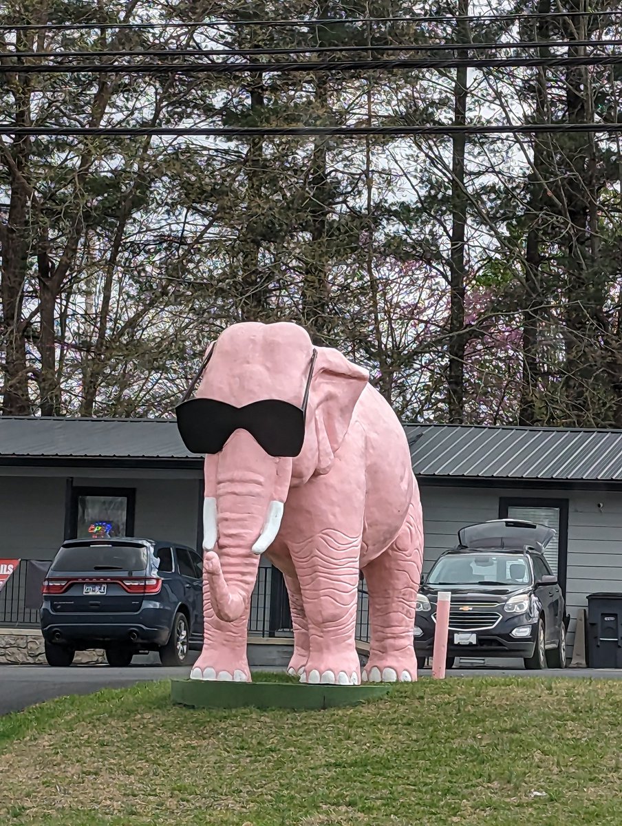 Dadman Walking tweet media