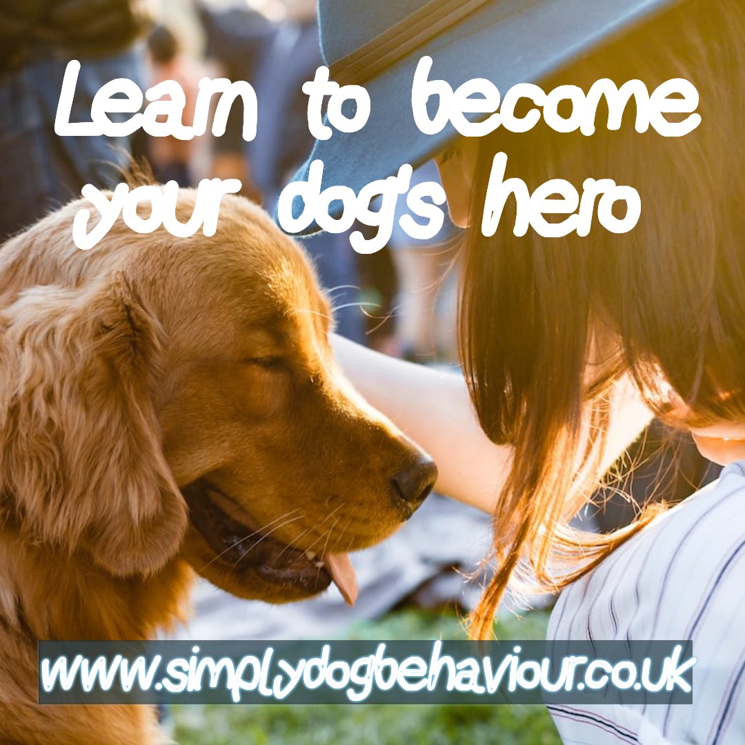 SimplyDogBhvr's tweet photo. Learn to become your dog's hero...

#dogtraining #puppy #dog #dogs #positivedogtraining #dogtrainer #puppies #dogbehaviour #dogcommunication
#puppytraining #puppytrainer #puppytrainingadvice #dogtrainingtips #puppytraining

https://t.co/xsRXm9E7LT https://t.co/9EpZEG69Zi