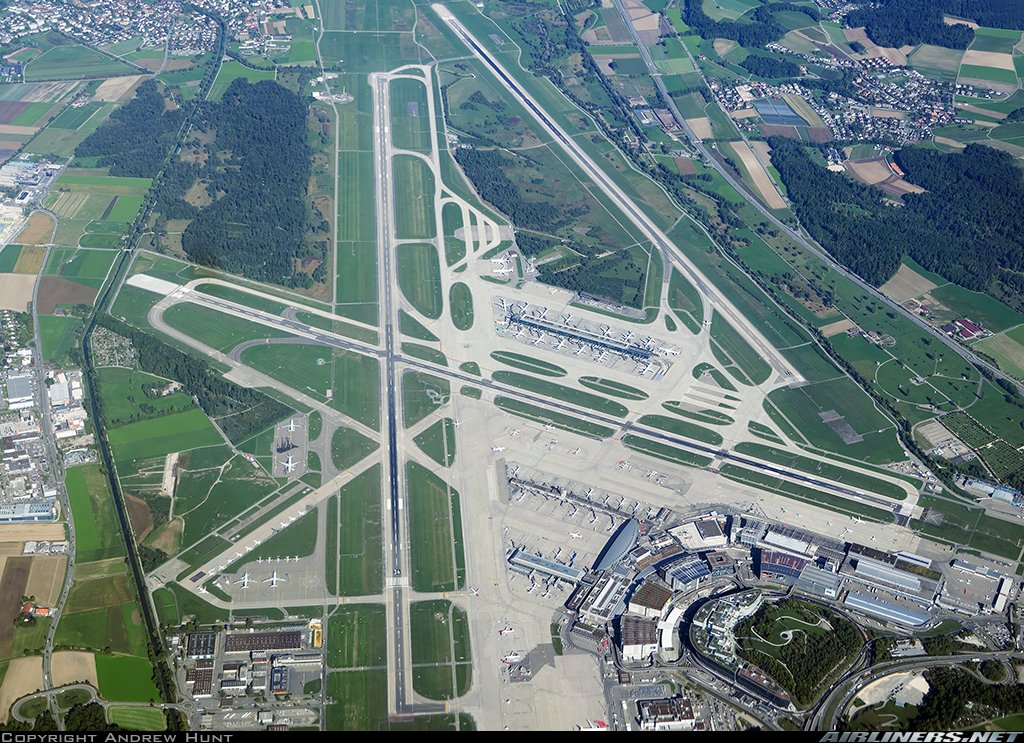 Nick Hoffmann tweet media