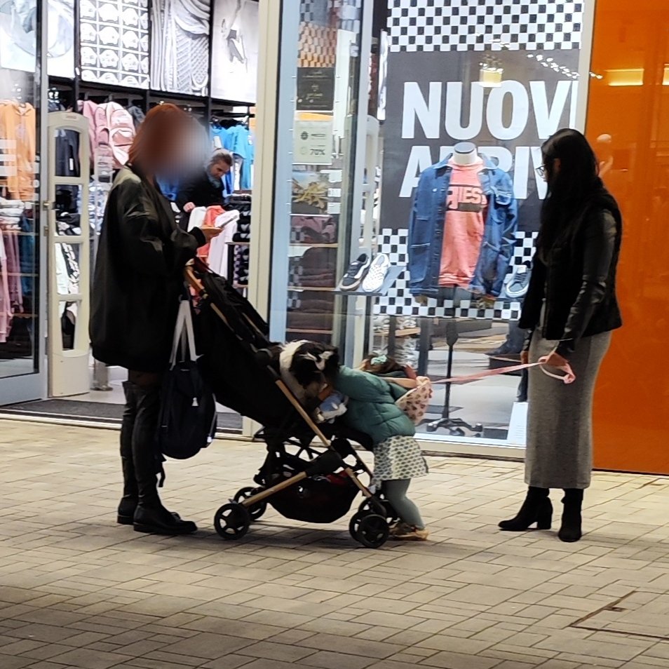 VentoTagliente's tweet photo. La bambina al guinzaglio e il cane nel passeggino. Poi ci chiediamo perché il mondo va alla rovescia. 'Sta gente va a votare. https://t.co/83Bqff5ZF2