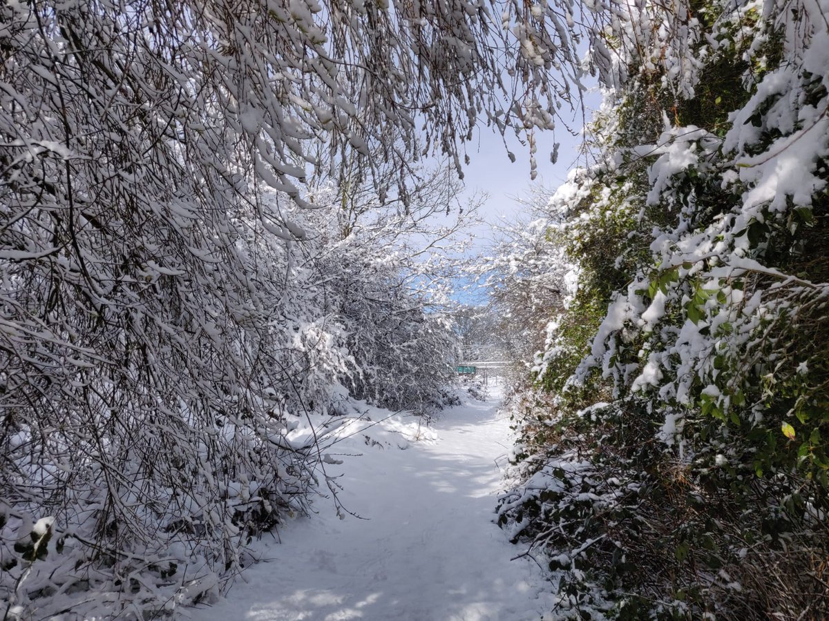 HortonComFarm's tweet photo. Are you 50+ or a carer of any age? Join us for our last mindful winter walk next Thursday 16th, 10am-12:30pm. Meet previous participants, our lovely practitioners and enjoy a cuppa on us! You'll also have a chance to sign up to our 8-week breathwork and nature connection courses. https://t.co/cOkMLGblRN