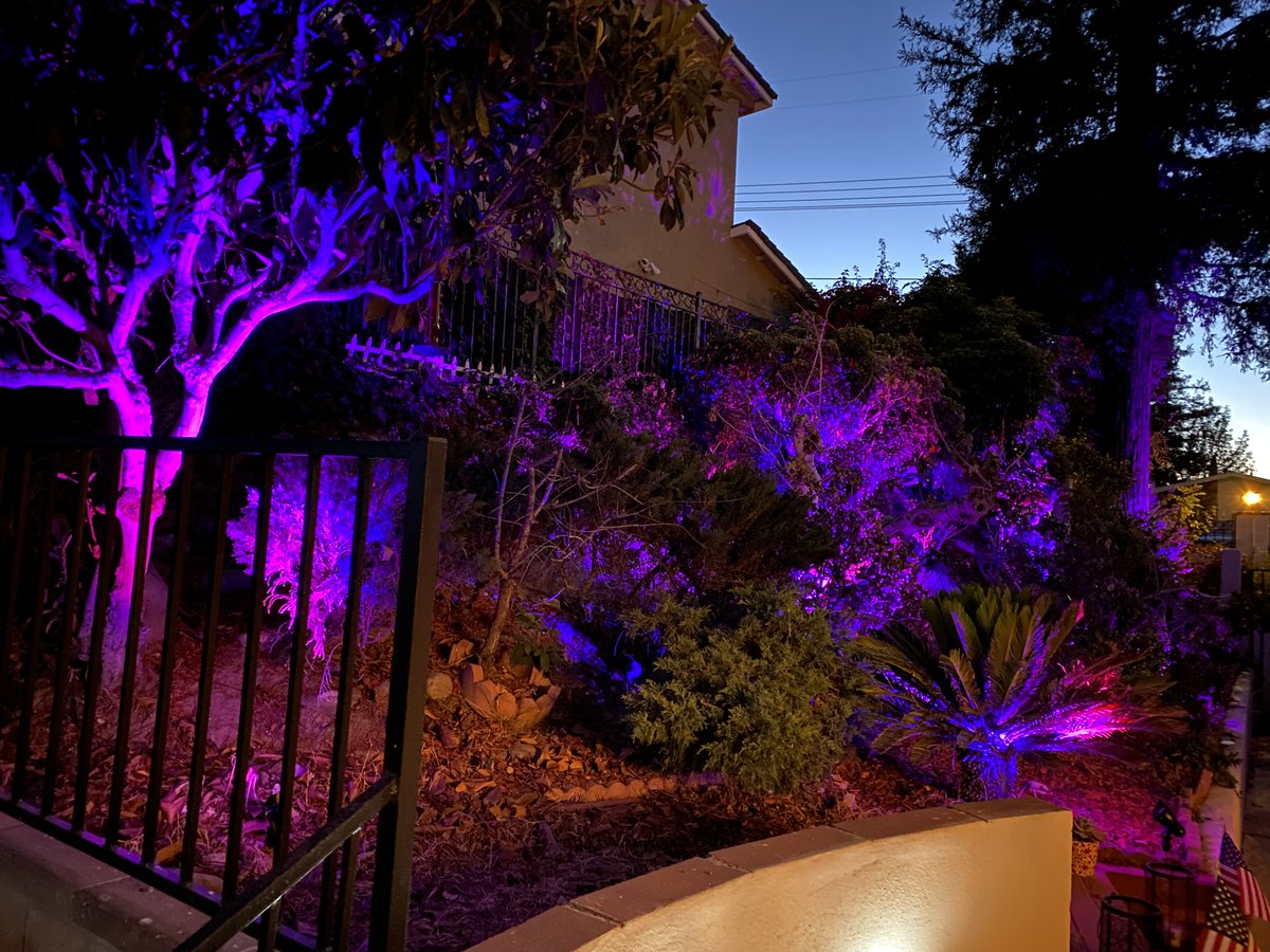 LA_VoltageInc's tweet image. Landscape Lighting

Our installation team works accurately to guarantee the safety of your property and to ensure the lighting system is installed to perfection.

#landscapelighting #landscapelightingdesign #residentiallighting #lighting #lightingdesign #landscapearchitecture