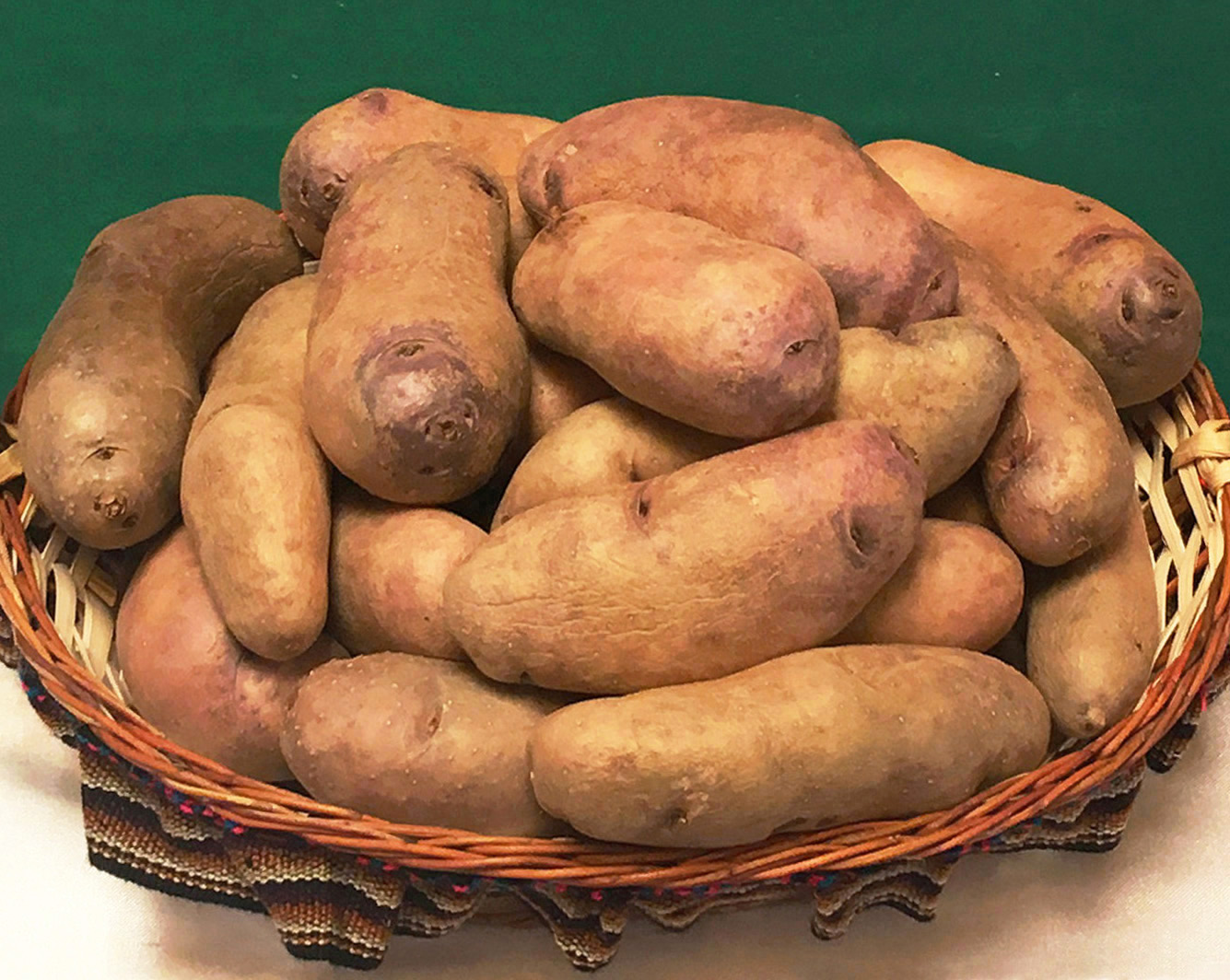 Морозоустойчивые сорта картофеля