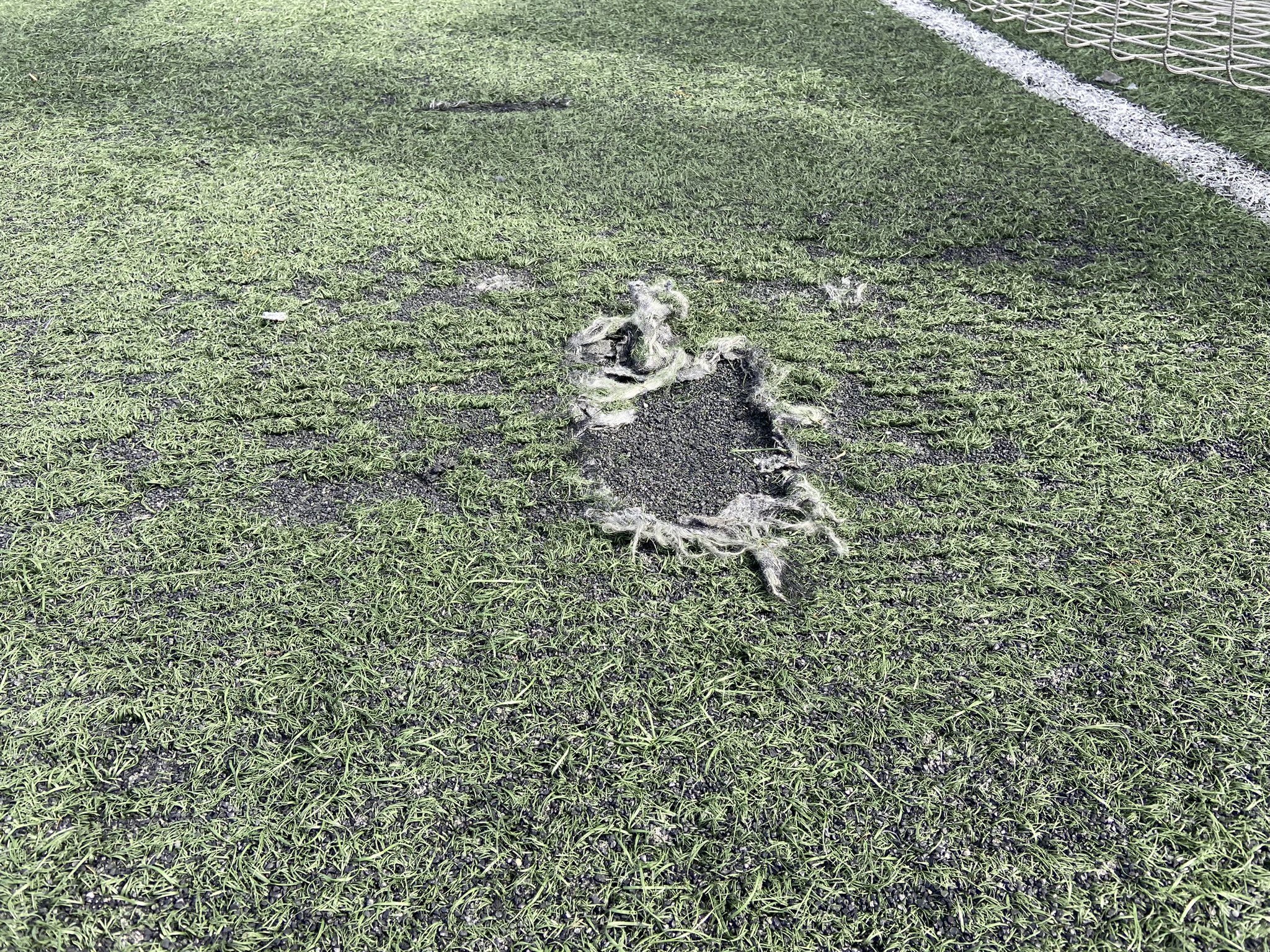 Foto cedida por PP Rivas