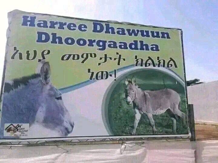 Out Of Context Ethiopia (@nocontextethio) on Twitter photo 