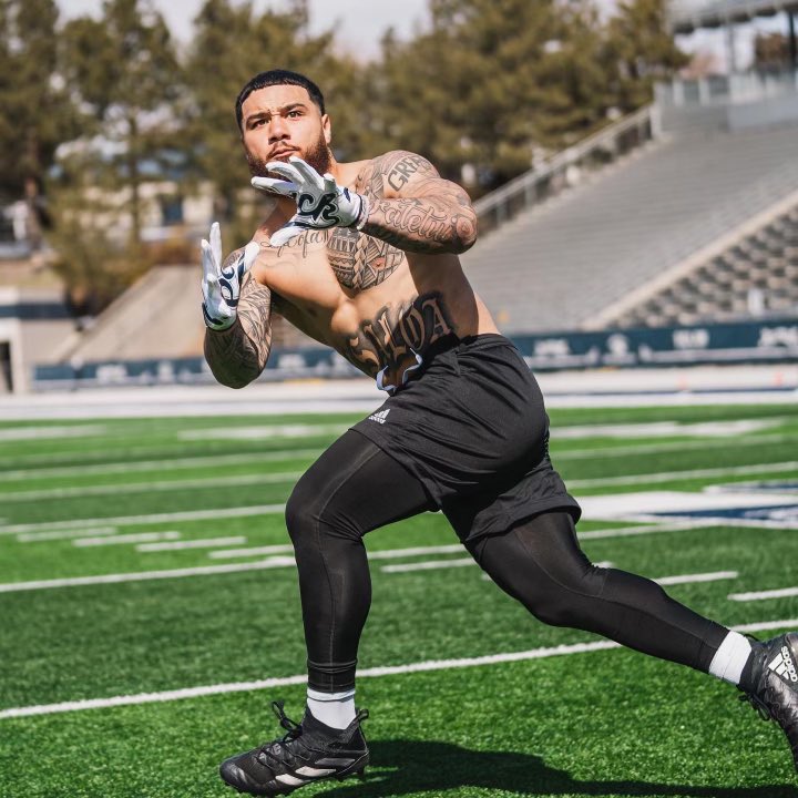 KoolVibeSports's tweet photo. First Pro Day of 2023 in the books! Very proud of our guy Toa Running Back out of @nevadafootball 

Had 14 NFL Teams in attendance with multiple teams asking Toa to stay after for extra drills. Now it’s back to the lab as he prepares for the 2023 NFL Draft. 🏈🖤 @theToaTaua https://t.co/HyEgyQDgZr
