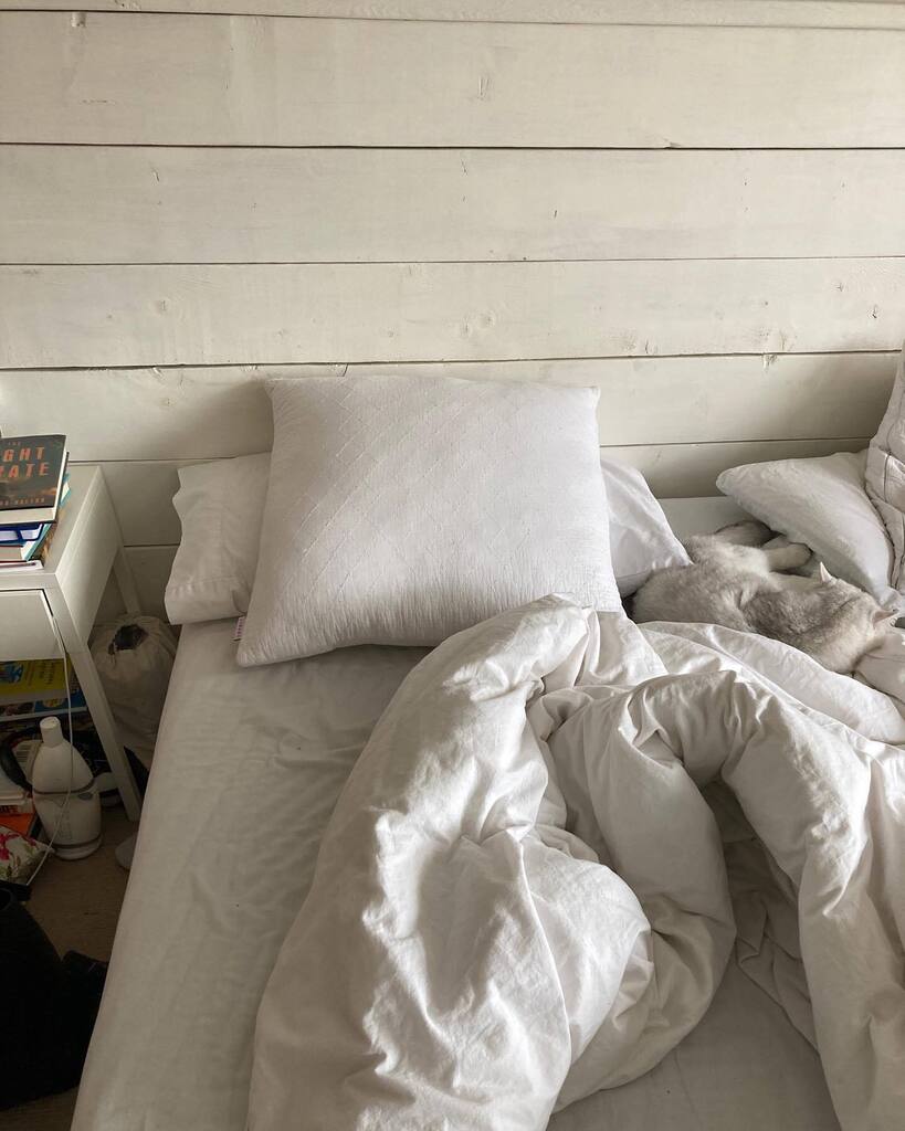 Saturday morning fun game:  Find Tripper. instagr.am/p/CpqDjrhgbgr/