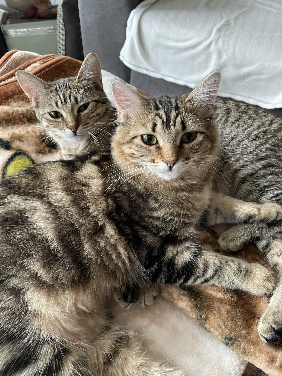 Steve Pasacreta (@PasacretaSteve) / X