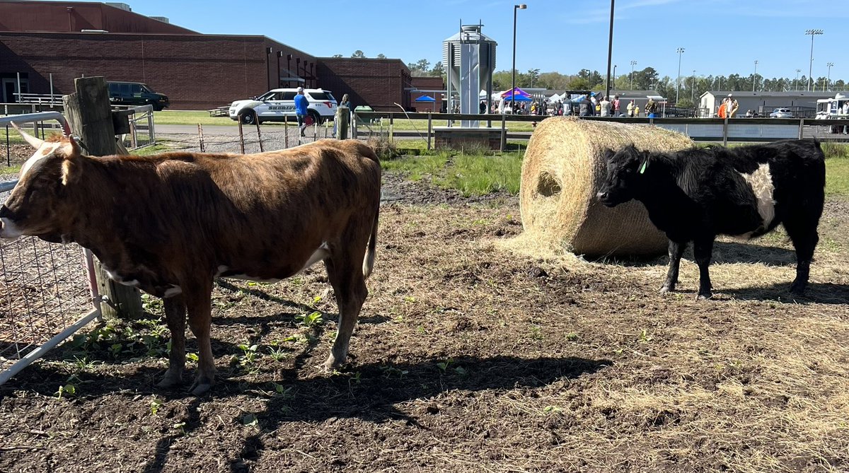 ARHSswampfox's tweet photo. Gorgeous day for Foxtival 2023! This student led event allows our school and community to come together. #NoLimitsAR @TeamDDTwo @CTEinDD2 @bgibso32 @DrHarrisonDD2 @Dr_ShaneRobbins @CdaughertyChad https://t.co/pYD4LpiL1N